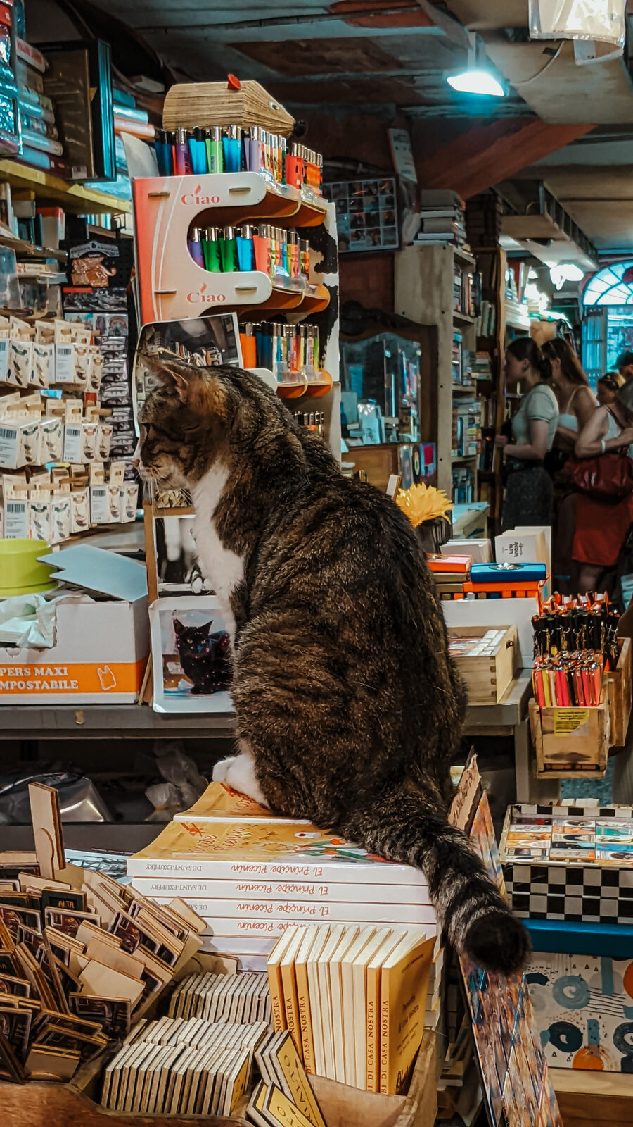 Libreria Acqua Alta 1