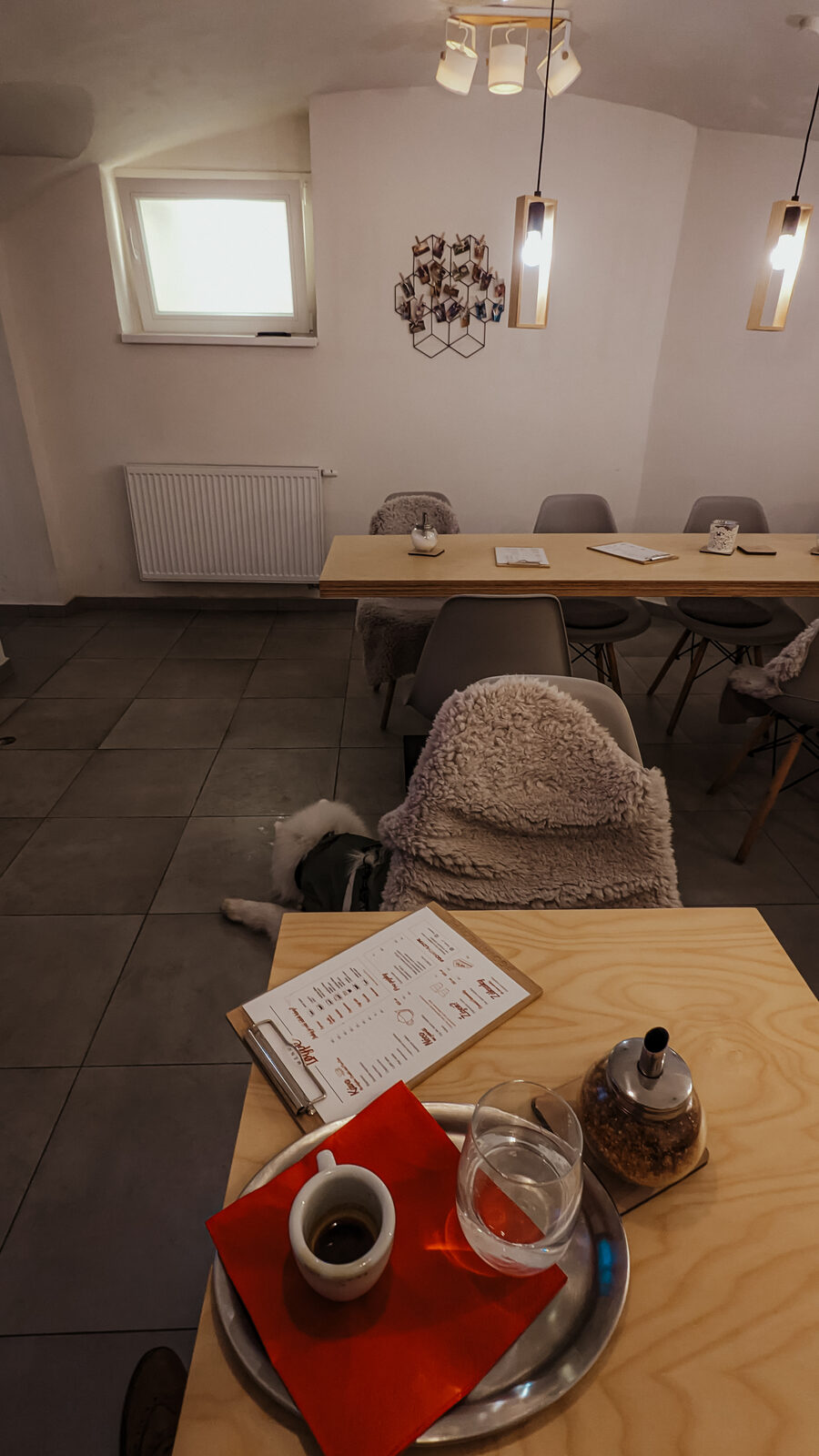 Loype dog store & café