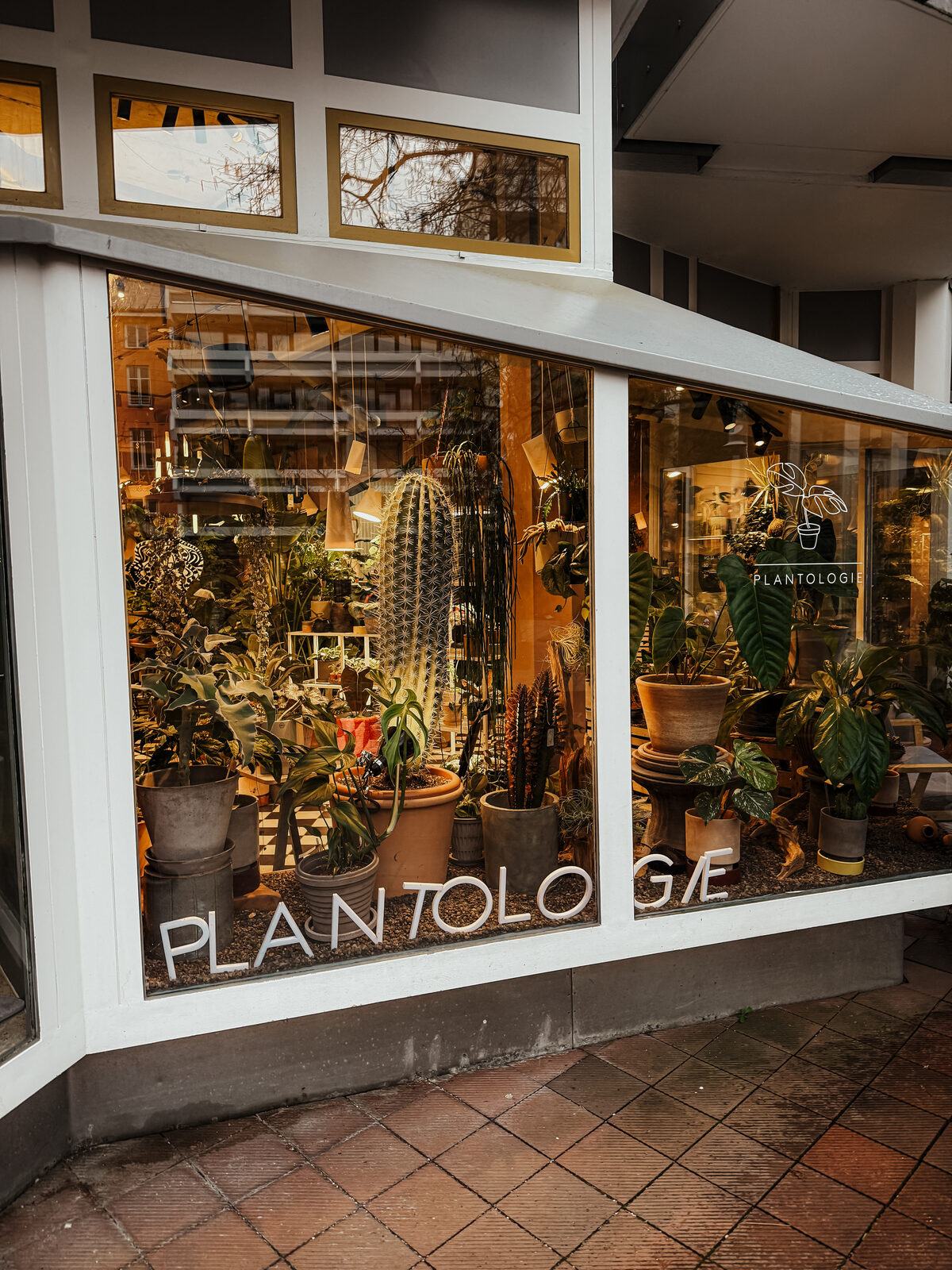 Plantologie 1