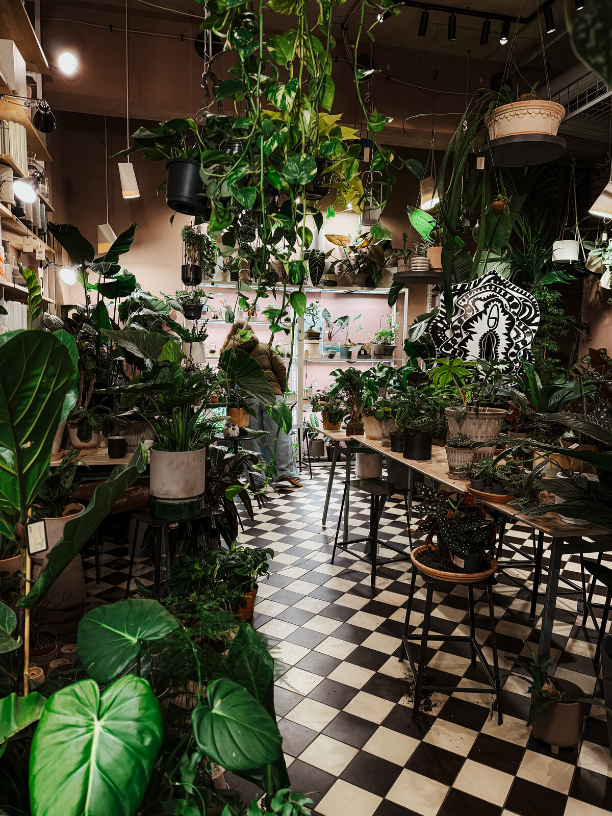 Plantologie 2