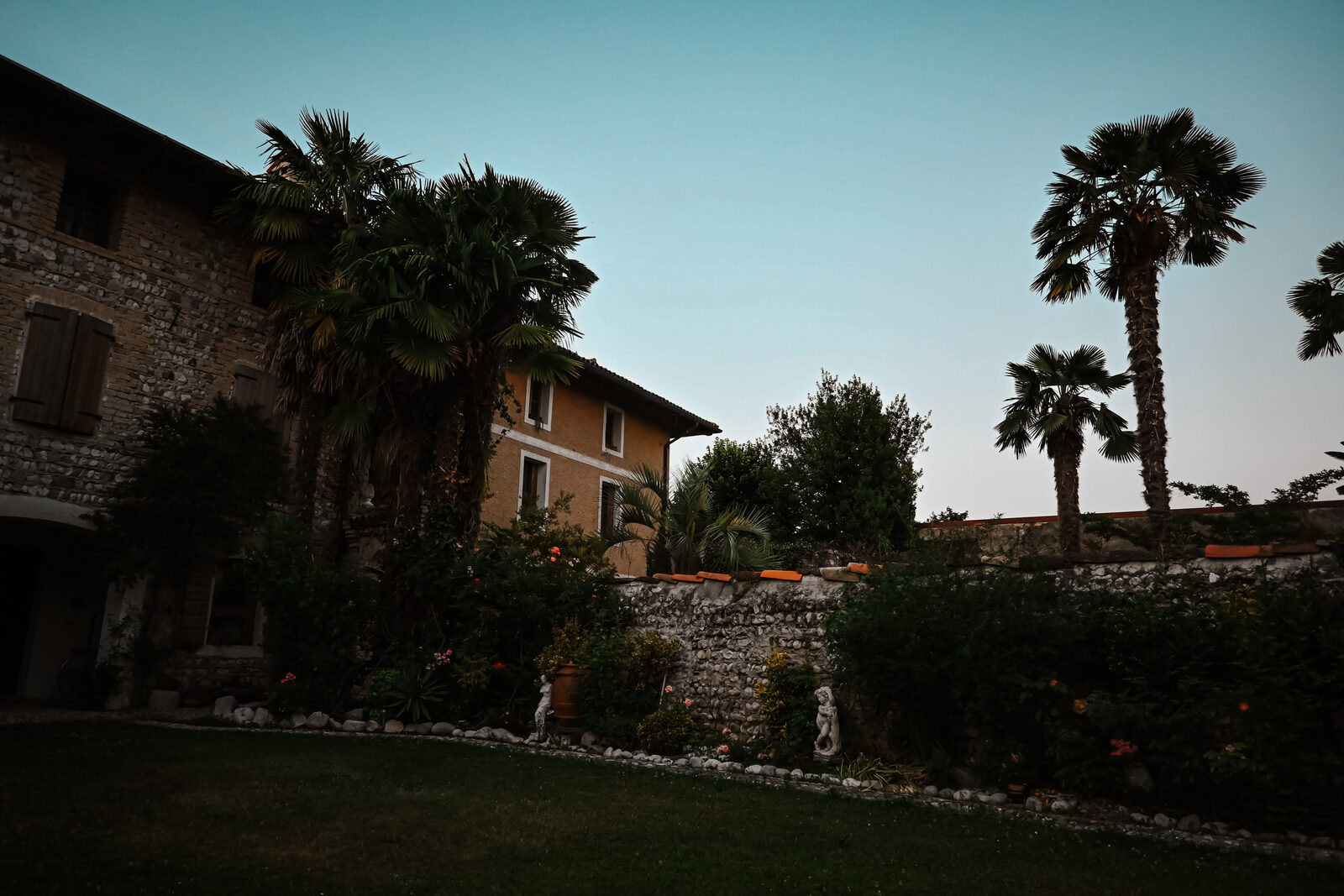 Rovere dalla Riva 3