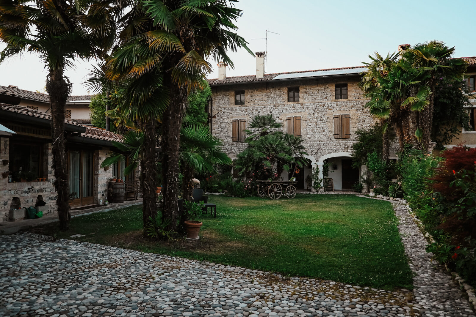 Rovere dalla Riva 4