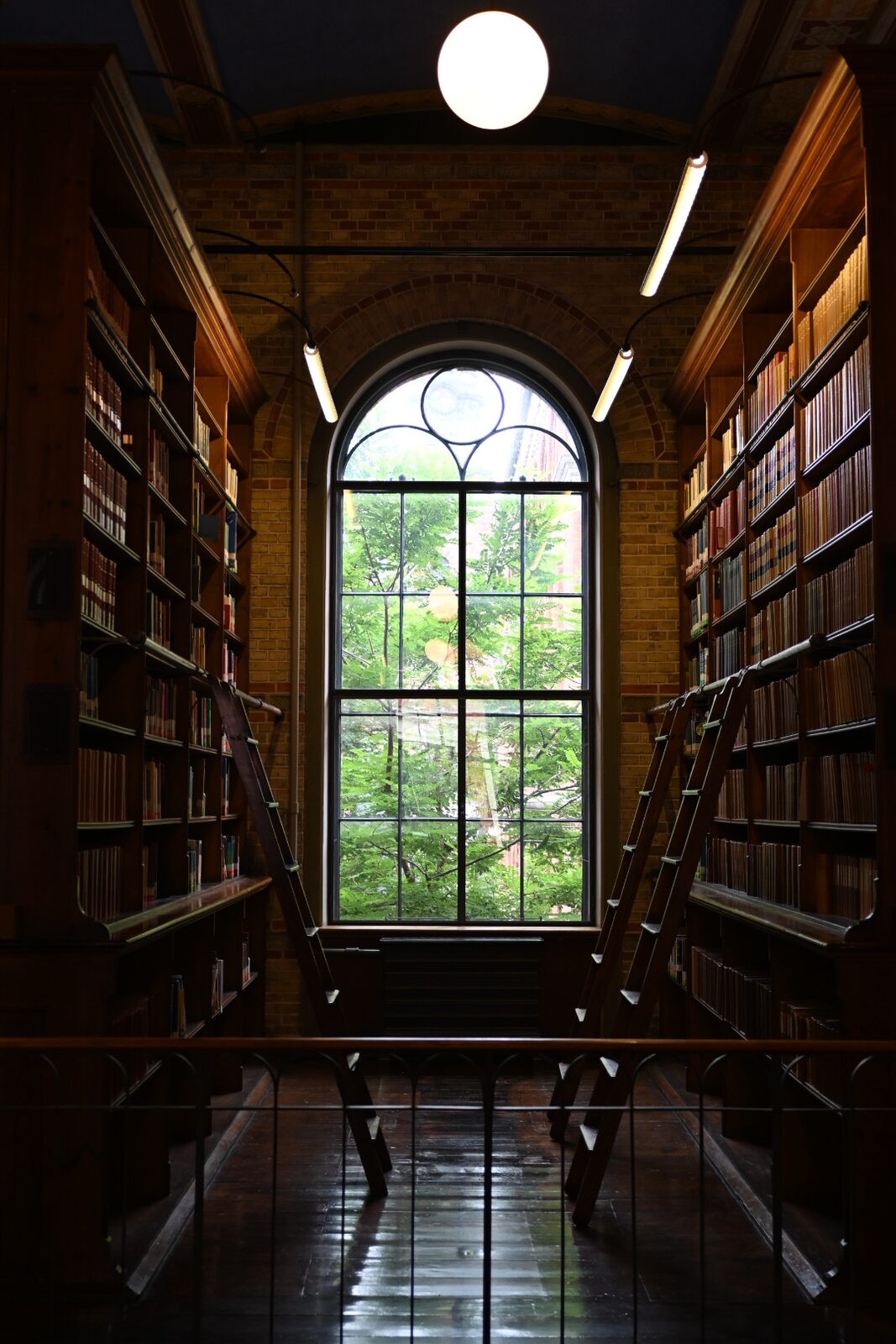 The Old University Library in Copenhagen 9